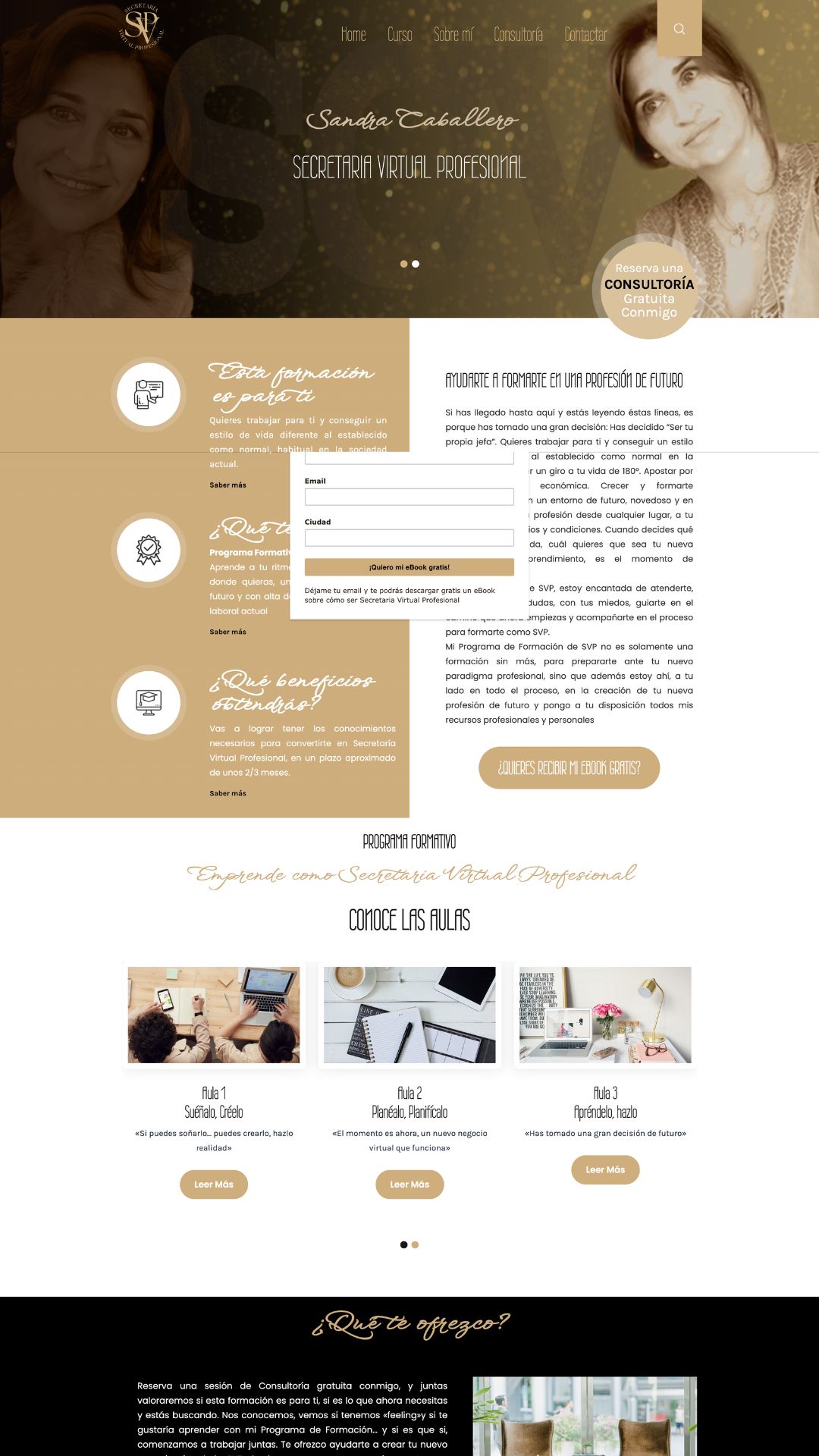 Secretaria Virtual Profesional Secretaria Virtual Profesional