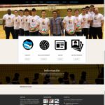 WEB VOLEY